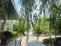 -新江湾城公园