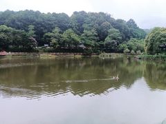 -广州市帽峰山景区
