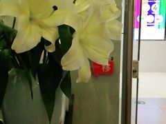 -尚一汤 广东炖汤(金桥国际店)