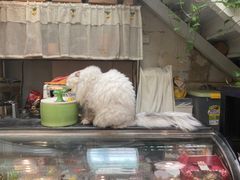 -小时光咖啡馆(北锣鼓巷店)