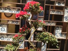 -广州塔晖粤轩中餐厅