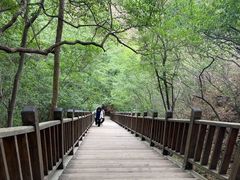 -野三坡百里峡景区
