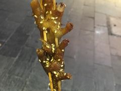 -芙蓉泉·烤鸡爪(芙蓉街店)