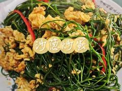 -煲来饱去冷水鱼