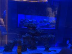 -上和臻品中国菜(花园街店)