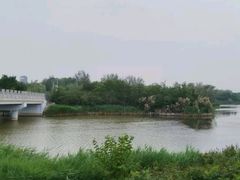 -塘沽森林公园