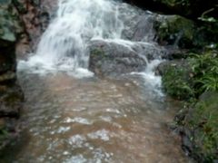 -广东温泉宾馆