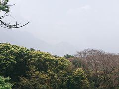 -广州市石门国家森林公园