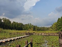 -溱湖国家湿地公园