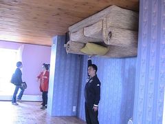 -金山农民画村-枫泾波兰倒置屋