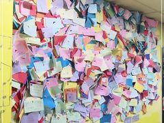 -志龙皇冠吃货椰子铺