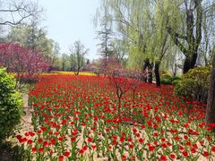 -迎泽公园
