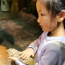 -酷嗒动物文化乐园(cutezoo西溪乐天城店)