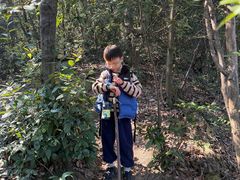 -西湖风景区十里琅珰-五云山