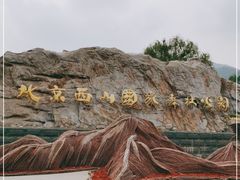 -北京西山国家森林公园