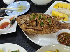 -Kat's Kitchen