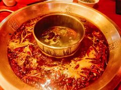 经典鸳鸯-小龙翻大江文化火锅(宽窄店)