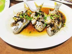 -海儀美食楼(湾仔海鲜街店)