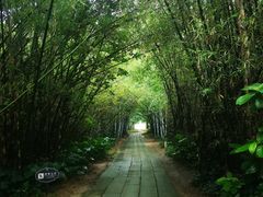 -开平碉楼文化旅游区马降龙景区