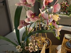 -施奈儿.洗头頭療.按摩SPA.采耳(上梅林店)
