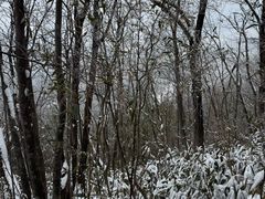 -安吉龙王山风景区
