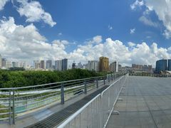 -南宁国际会展中心(会展东博文化旅游区)
