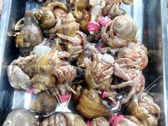 -山东八大碗山东老字号