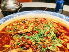 -新概念来凤鱼(璧山店)