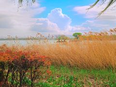 -云龙湖旅游景区