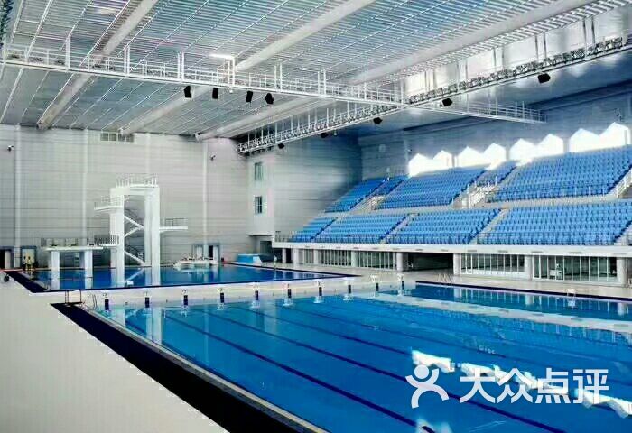 大港体育馆图片-北京游泳馆-大众点评网