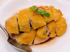 -利苑酒家(金宝店)