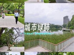 -渭滨公园