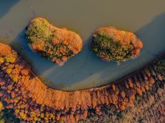 -上海海湾国家森林公园