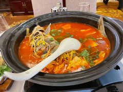 贵州酸汤鱼-贵州大厦贵州厅(樱花园西街店)