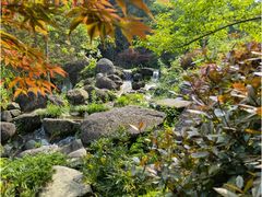 -大围山国家森林公园