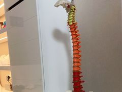 -修申骨雕小颜脊柱骨盆管理产后修复