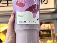 -星满杯TEAFUL(罗湖东门店)