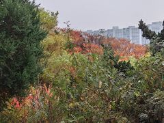 -南翠屏公园