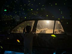 -顺德南宏海立方海洋公园