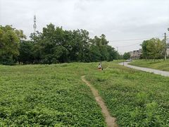 -两河城市森林公园