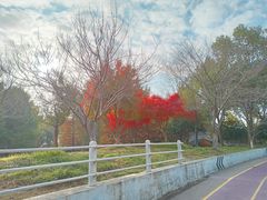 -尚贤河湿地