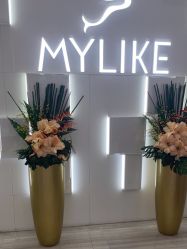 点击看大图 -深圳美莱医疗美容医院