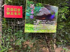 -柴米油盐(土菜院子店)