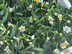 -东川新街市(东川市场店)