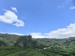 -十里琅珰