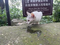 -狼山风景名胜区