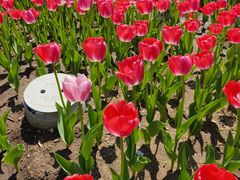 -长春公园(普阳街道)