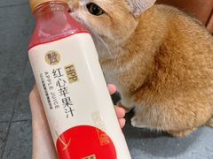 -盒马鲜生(红莲店)