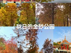 -金砂公园