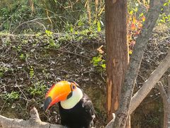 -泉州海丝野生动物世界